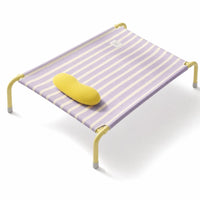 Elevated Dog Bed with Pillow Washable Raised Dog Cot with Mesh Comfortable