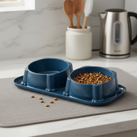 Double Stainless Steel Pet Bowl for Cats and Dogs, Non-Slip Tilted Food and Water Feeder