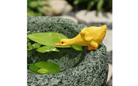 Duck Figurine Planter Creative Design Faux Stone Duck Pot Hand-Painted for Patio