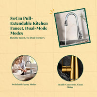 Brass pull-down faucet with sprayer