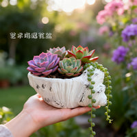 创意艺术海螺花盆装饰品摆件家居庭院花园多肉鲜花养殖花盆花器