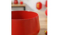 New Year Flower Pot Festive Shallow Cactus Planter Textured Surface