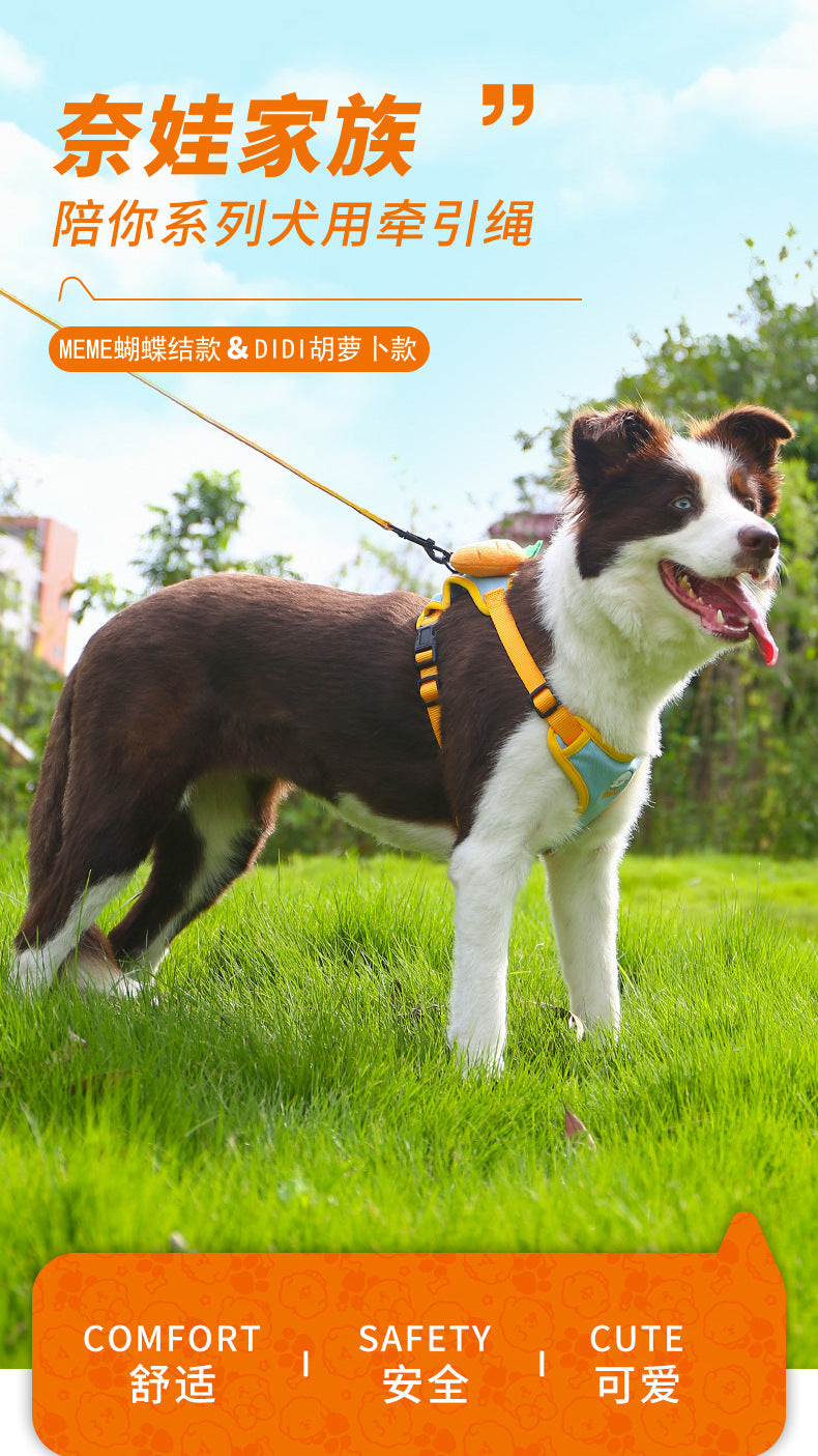 Adjustable Dog Harness and Leash Set with Carrot Design