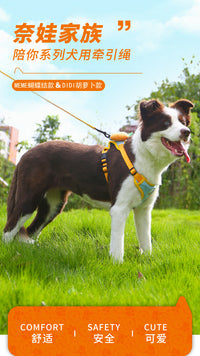 Adjustable Dog Harness and Leash Set with Carrot Design