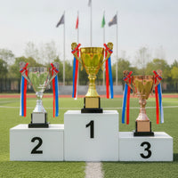 Metal Trophy Cup Tiered Trophy with Black Base Shiny Cup with Handles Shimmering for School Ceremonies