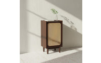 Cane Door Storage Cabinet Solid Wood Rattan Footwear Storage Unit Minimalist Style Household Furniture for Living Room
