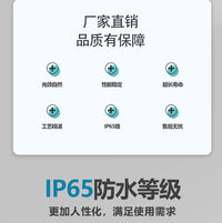 上海亚明高压钠灯NG70W100W250W400W1000W灯泡直管黄光纳灯NG250 亚明高压钠灯100W黄光 E27