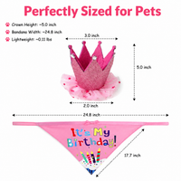 Dog Birthday Hat for Photo Shoot, Pet Costume Two-Piece Set, Letter Print Dog Birthday Bandana for Party, Fashionable Design