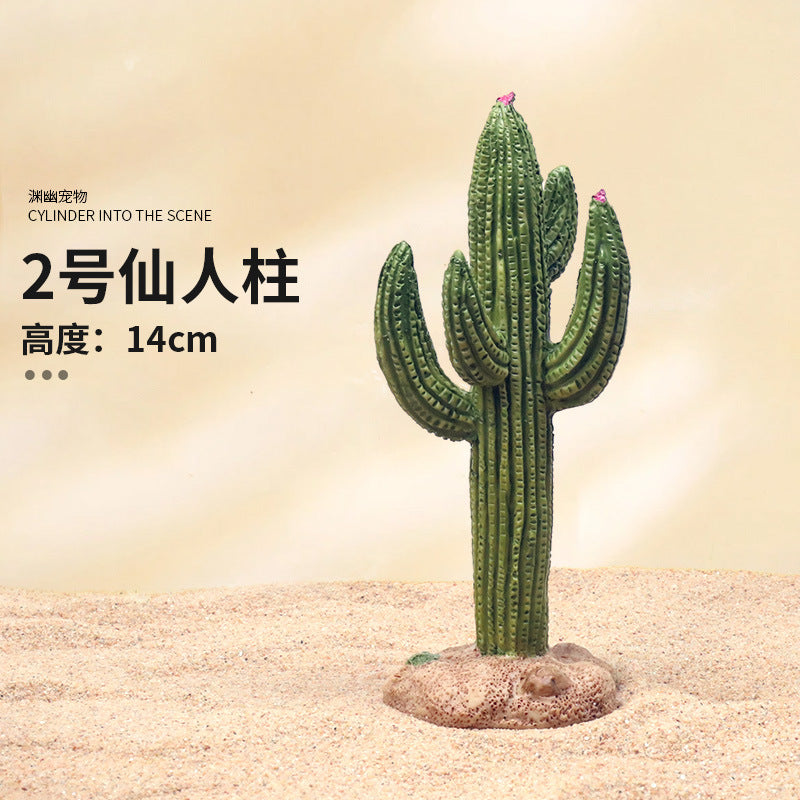 No 2 Cactus