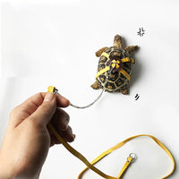 Adjustable Turtle Harness and Mini Skateboard Set