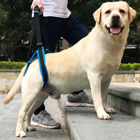Hind Leg Support Harness Stair Assistance Rear Leg Support Harness for Stairs