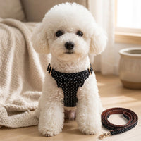 Cat Walking Harness and Leash Set, Strap Design with Patterned Style, No Pull Outdoor Cat Walking Leash for Easy Control
