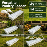 poultry feeder