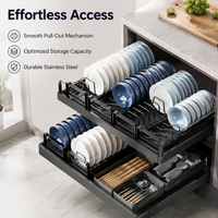 Black Pull Out Dish Rack, Extendable Dish Drainer Telescopic, Anti Rust Drying Rack for Cabinet, Large Capacity Drawer Dish Rack with Drainage