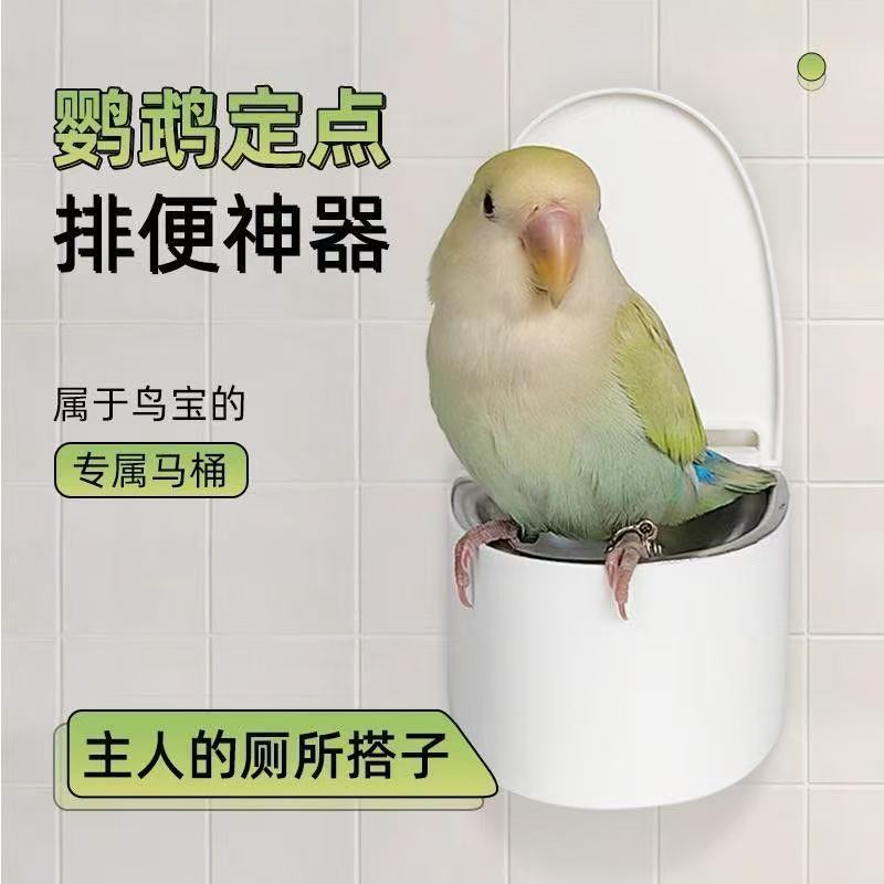 Parrot Toilet