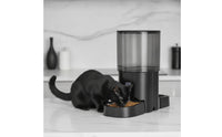 Cat Feeder with Double Bowls Transparent Timed Dry Food Dispenser for Multiple Pets, Daily Feeding