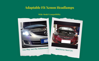 Xenon bulbs, waterproof, plug & play