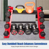 Dumbbell Rack, 2-Tier Kettlebell Stand, Home Gym Storage, Space-Saving Multi-Functional Organizer