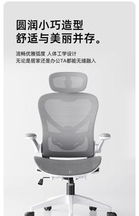 人体工学椅子护腰电脑椅透气电竞椅家用舒适久坐办公椅靠背学习椅