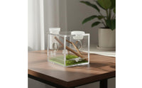 Jumping Arachnid Terrarium High Clarity Arthropod Terrarium Habitat Dimensional