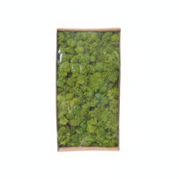 artificial Foliage Easy to Use Decorative Spreading Ground Cover-Maintenance Plants for Crafters, Florists, Home Decor, Terrariums