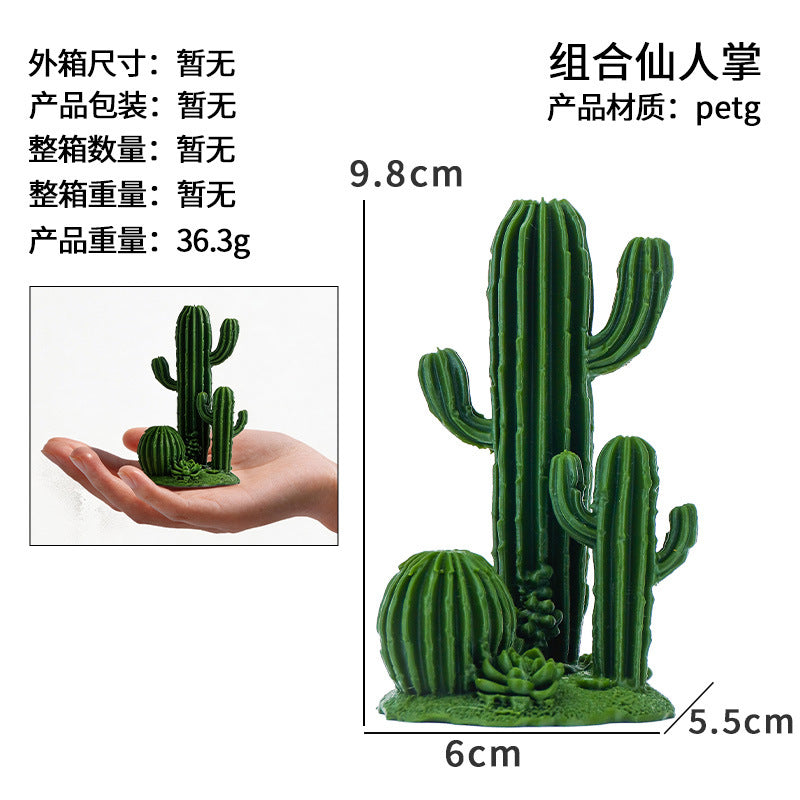 Assorted Cactus