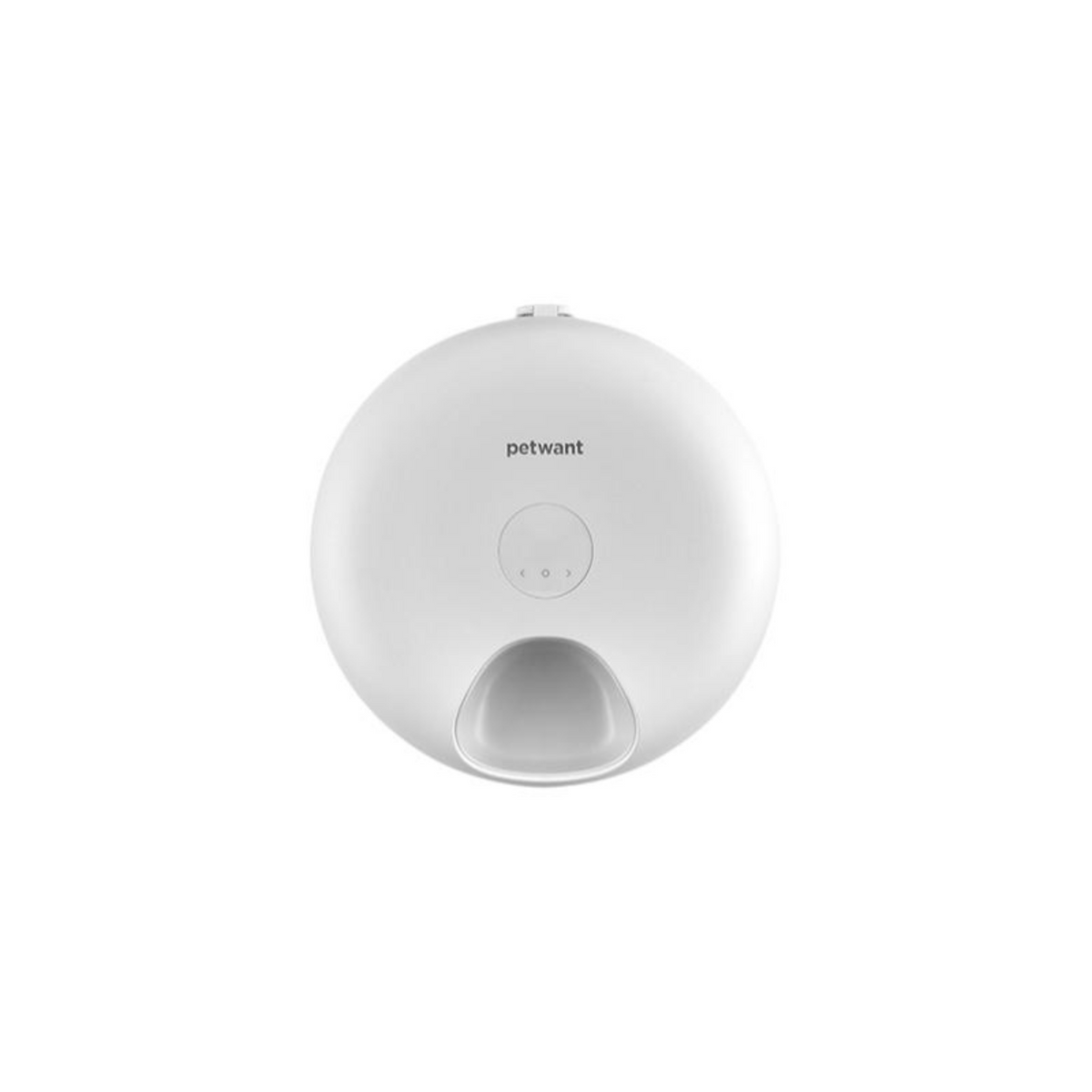 Programmable wet food cat feeder
