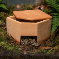 Reptile Ceramic Humidifying Hideaway Cave for Lizards, Snakes, and Spiders