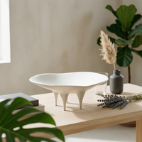Irregular Decorative Tray Polished Catchall Elegant for Tabletop