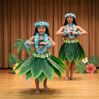 Hawaiian Luau Grass Skirt Costume Set for Kids and Adults