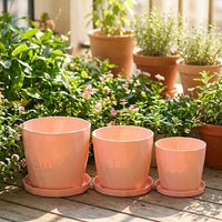 Plant Pots for House Plants and Home Garden, Heavy Duty Machine Pressed Flower Pots with Saucer, Round Indoor Plant Pot, Balcony Planter Use