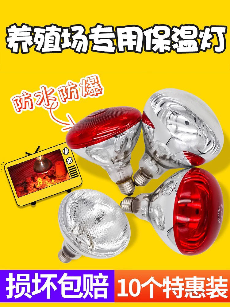 智牧人保温灯猪用小鸡取暖灯泡育雏保温灯养殖场专用红外线畜牧用