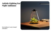 With LED Light Micro Landscape Bottle High Clarity Lichen Terrarium Bottle Elegant Design for Hobbyists, Tabletop, Living Room, Bookshelf