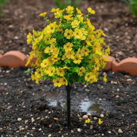 Flower Stake Easy to Place Artificial Stake No Effortless Garden Decor for Yard, Balcony