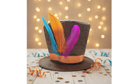 Top Hat with Feathers Novelty Top Hat with Feather Elegant for Performers