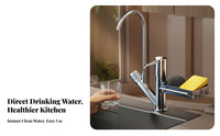 complete Design Soap Dispenser with Sponge Holder Press-Action Pump Multi-Compartment Sink Organizer Drainage Tray Countertop holder Space Saving for Homemakers, Homeowners, Parents, Kitchen, Home