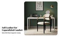 Curved rear Dining Chair Italian-Inspired home-design Furniture adaptable Ergonomic rearrest for Homeowners, Adults, Living Room