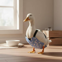 Duck Diaper Washable Pet Accessory Waterproof