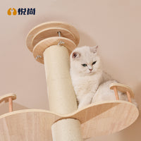 猫爬架实木橡胶木猫窝五层太空舱透明半球立式猫别墅猫抓柱通天柱