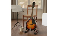 8-String Mandolin 8 String Mandolin Lightweight Body Plucked Instrument for Beginners