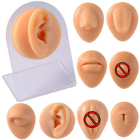 Silicone Facial Features Model for Ear Cleaning and Piercing Practice