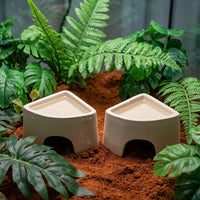 Terracotta Reptile Hide and 60mm Entrance Reptile Hide, Leopard Gecko Terrarium Accessories, Porous Moisture Retaining Cave for Shedding, Pack of 2