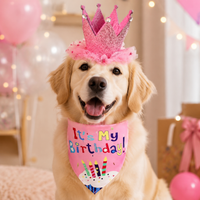 Dog Birthday Hat for Photo Shoot, Pet Costume Two-Piece Set, Letter Print Dog Birthday Bandana for Party, Fashionable Design