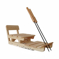 Ice Sled, Adjustable, Outdoor, Detachable, for Kids Adults