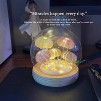 Dreamy Shell Sea Urchin Jellyfish Night Light Decoration DIY Kit, Birthday Gift, Team Building
