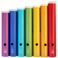 Rainbow Frog Guiro Percussion Instrument