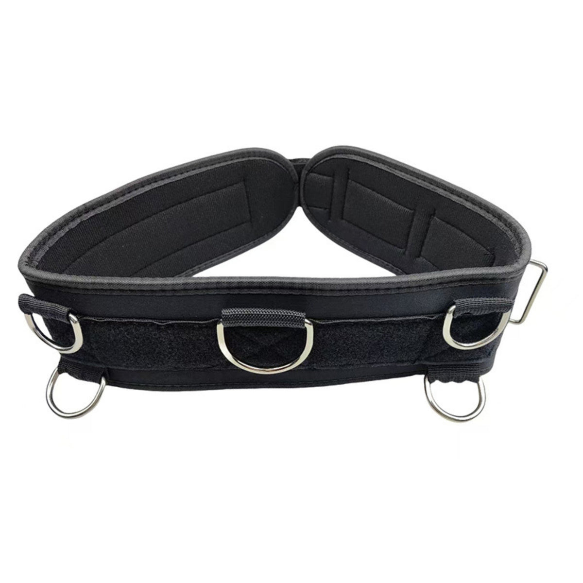 Padded Waist Training Belt Supportive Resistance Belt with D-Rings Long-Lasting Multifunctional for Runners, Gym