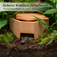 Reptile Ceramic Humidifying Hideaway Cave for Lizards, Snakes, and Spiders