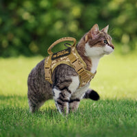 Vest Style Cat Harness and Leash Set with Bungee, Polyester Adjustable Cat Walking Harness with Handle and Patch Area for Secure Outdoor Pet Walking