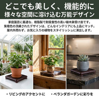 Square Plant Saucer 22cm, Resin-made, Leak-proof Tray, For Indoor Gardening and Balcony Gardening